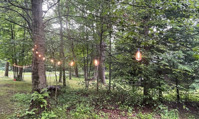 James City Cabina | The Den: a cozy, rustic cabin off the beaten path near prime ATV trails
