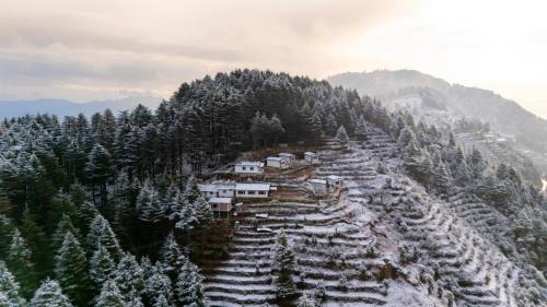 Kanatal Complejo | The Deodar Stays