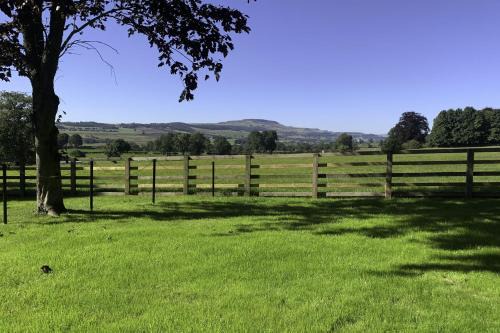 Leyburn Casa | The Dog Kennels