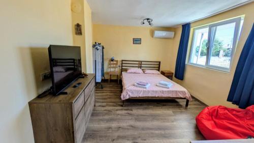 Varvara Casa | The Dolphin's House