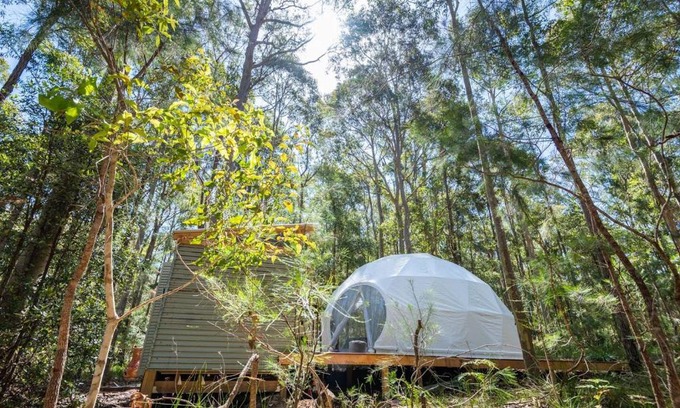 Woollamia Otro | The Dome Jervis Bay