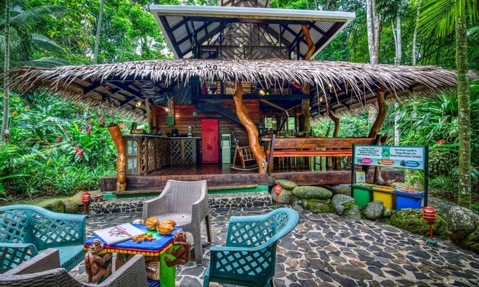 Manzanillo Casa | The Dream Palm House