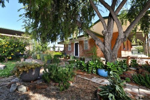 Manilla Casa | The Eagle's Nest