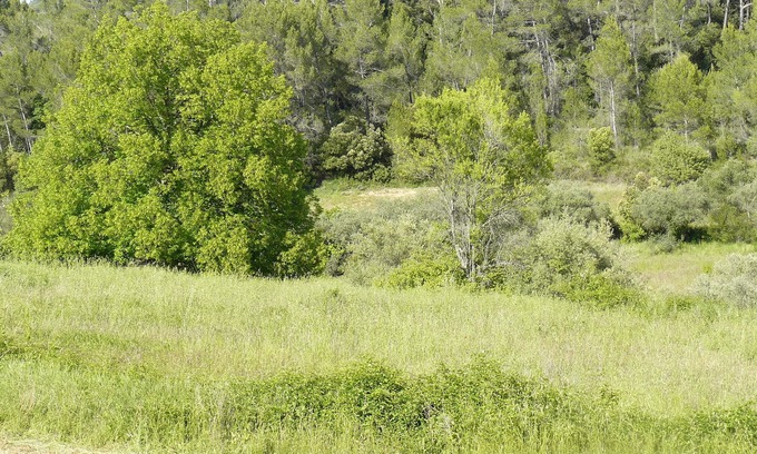 Barjols Cabaña | El Mazet Ecológico del Jardín de la Maravilla