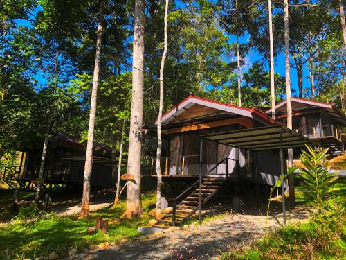 Platanillo Apartamento | The Elements Costa Rica Nature Lodges