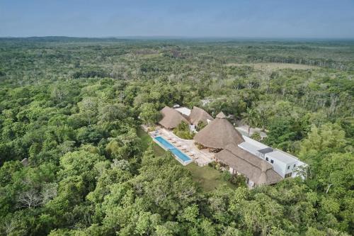 Kohunlich Complejo | The Explorean Selva Maya Kohunlich