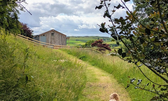 Trofarth Cabina | The Fold - Unique Cabin Nestled in Nature