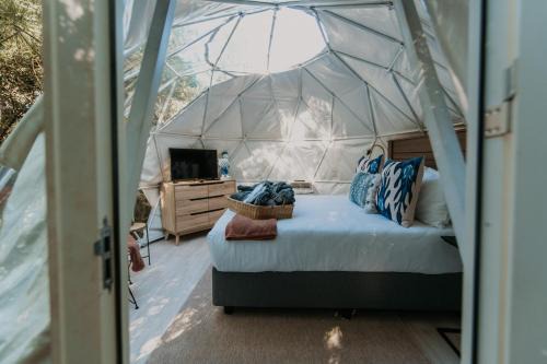 Storms River Otro | The Forest Dome Tsitsikamma