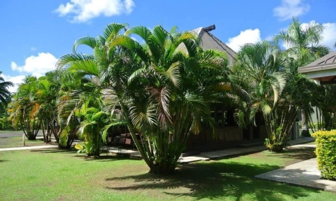 Labasa Cama Y Desayuno | The Friendly North Inn