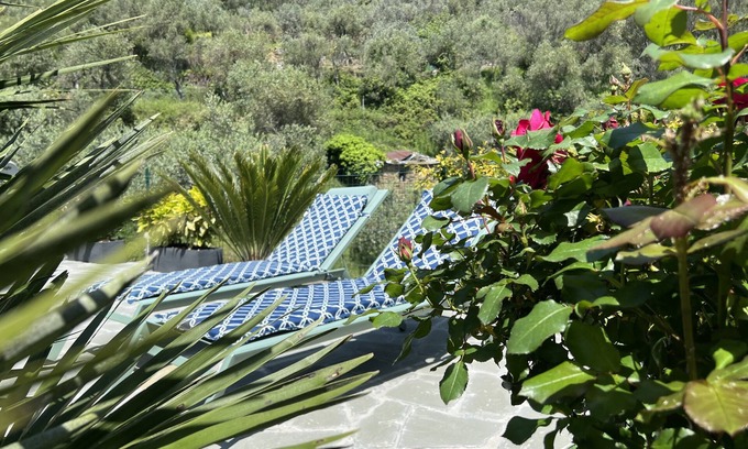 Volastra Casa | The Garden