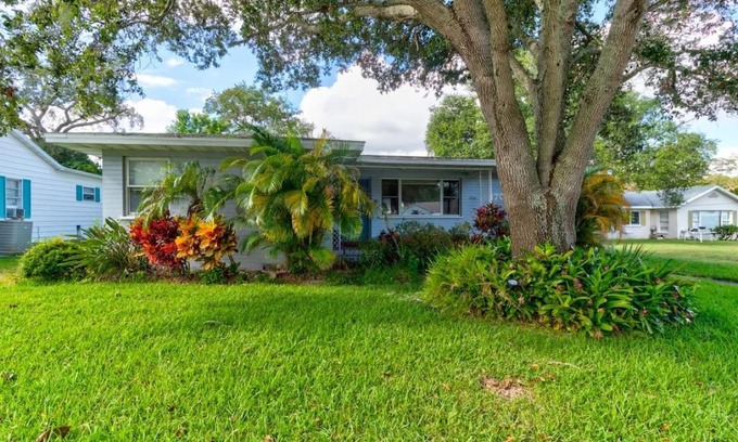Kingston Casa | The Good Ole Days King Bed Pet Friendly