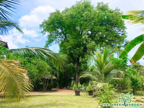 Dambulla Casa | The Green Garden
