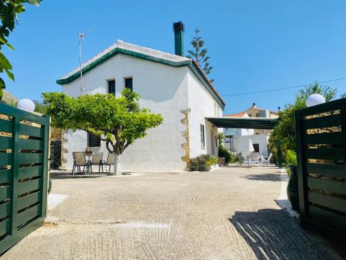 Afrata Casa | The Green Home