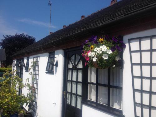 Leek Casa | The Green Man