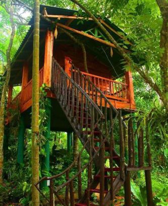 Ahangama Cabina | The Hidden Treehouse