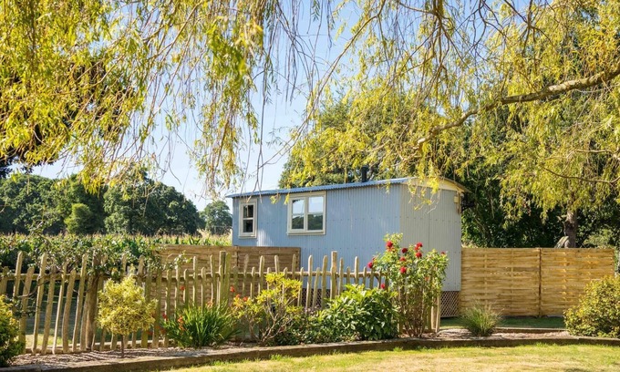 Whitestone Apartamento | The Hideaway Hut - 1 Bed Shepherds Hut - Dodmarsh