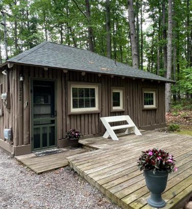 Higgins Lake Casa | The Higgins Lake Hideaway - Super Cute!