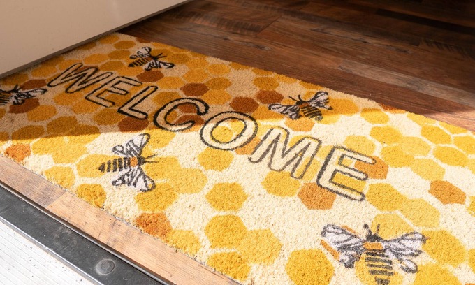 Dowagiac Casa | The Hive - An Elevated 4/20 Adventure