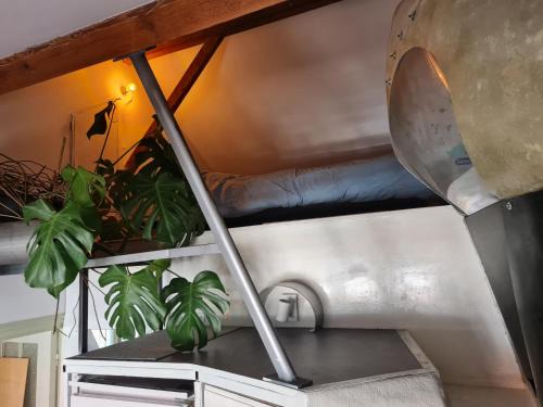 Stratum Casa | the home of the gnome