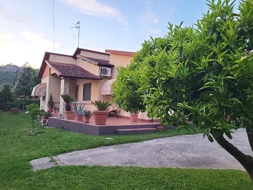Stiava Casa | The House of Citrus - amazing country house near Viareggio beach and Lucca