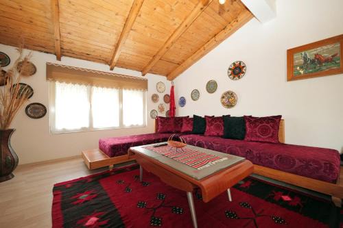 Shkoder Casa | The house of dreams