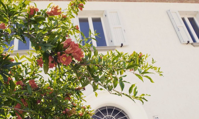 Montegiardino Casa | The House of Montegiardino