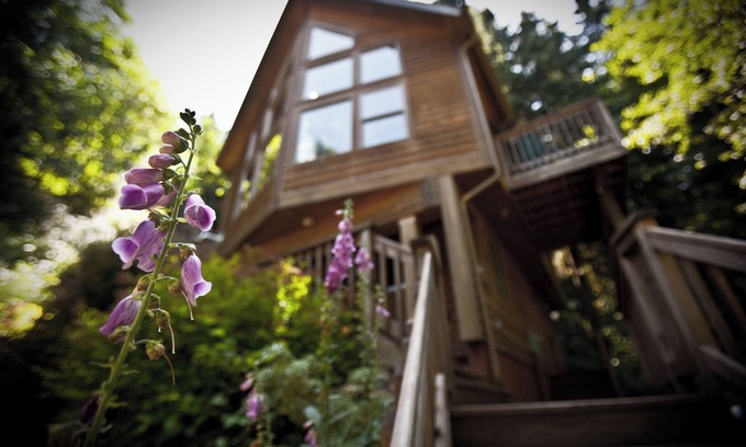 Welches Chalet De Esquí | The Huckleberry Chalet, a private Mt. Hood retreat within a forested wonderland