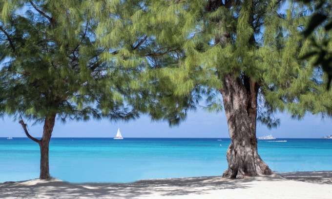 Seven Mile Beach Apartamento | The Islands Club