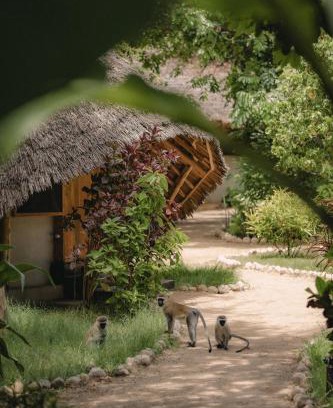 Mto wa Mbu Cabina | The Jungle Pearl Resort