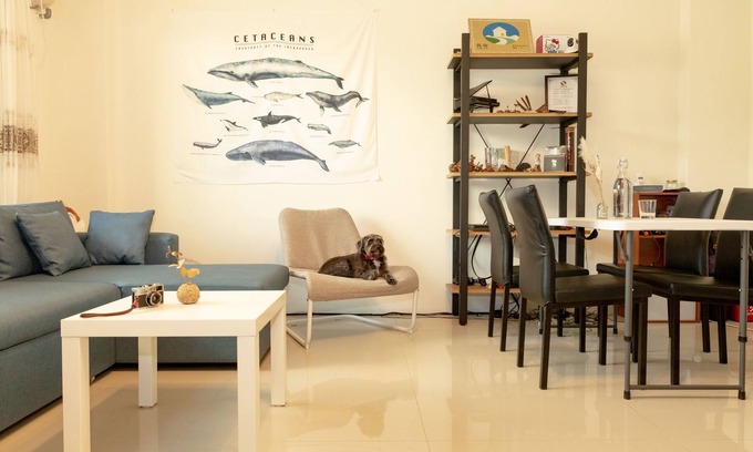 Taitung Casa | The Kite