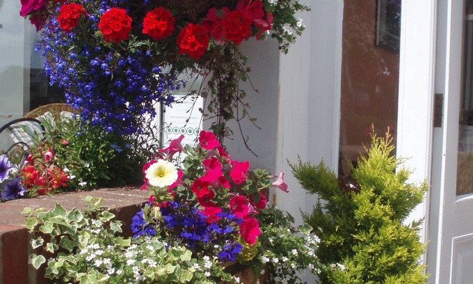 Eastbourne Cama Y Desayuno | The Langtons Bed & Breakfast