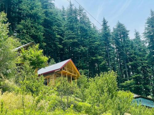 Banjar Chalet De Esquí | The Latoda forest edge duplex cottage in jibhi