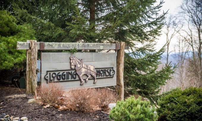 Burnsville Villa | The Lions Den - Club Access