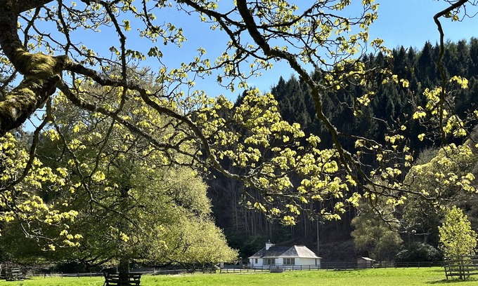 Galashiels Cabina | The Lodge at Yair