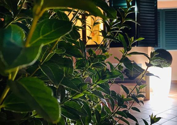 Empoli Apartamento | The Loft E&E Open Space