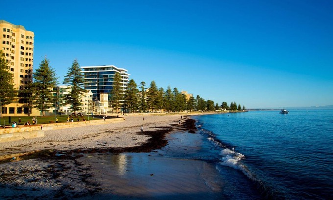 Glenelg North Casa | The Loft Glenelg, Cosy-oasis beachside Entire home, Private fenced backyard