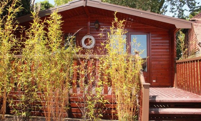 Rye Foreign Apartamento | Apartamento-Baño Privado-Self Contained Cabin