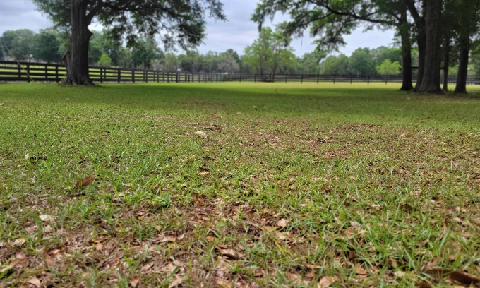 O Brien Cabaña | The Lonestar Whitt Ranch