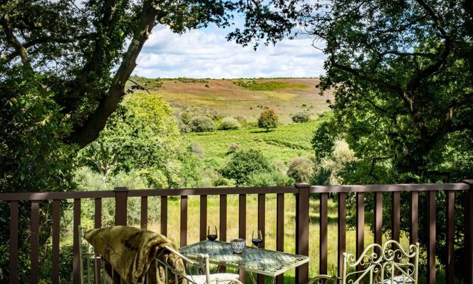 New Forest District Casa | The Lookout