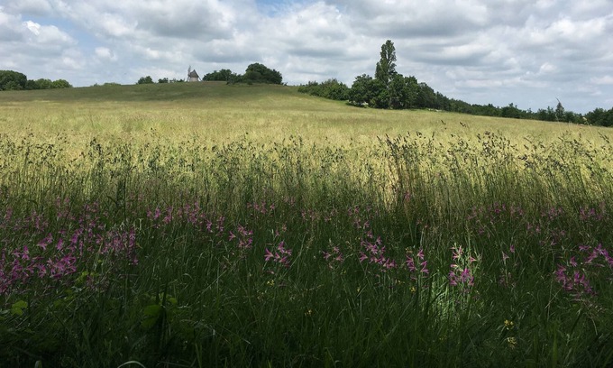Montaigu-de-Quercy Casa | The "Miller's House", Ecolodge for nature lovers