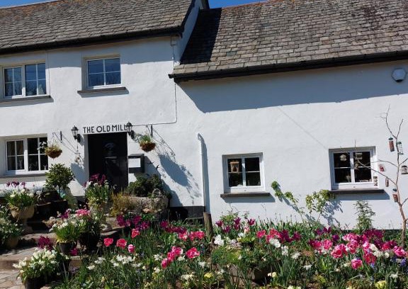 East Portlemouth Cama Y Desayuno | The Millers Cottage