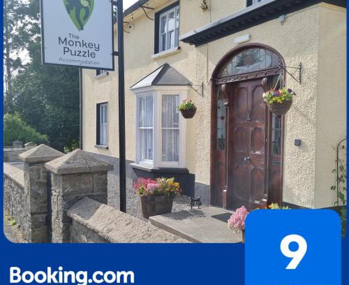 Bunclody Casa | The Monkey Puzzle