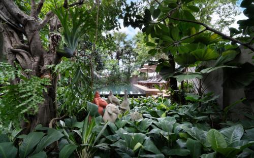 Siem Reap Hotel | The Nature & Villas