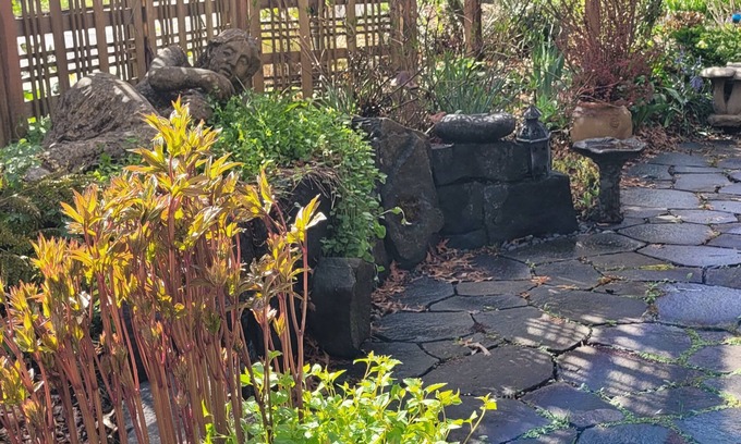 Friendly Apartamento | The Nest in South Eugene