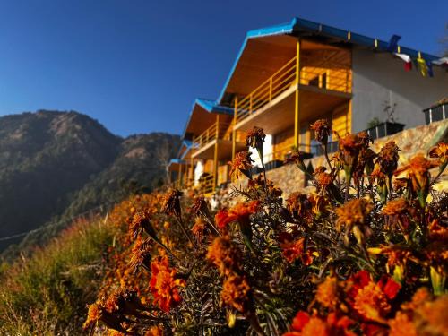Sigri Village Complejo | The Nirvana Stays