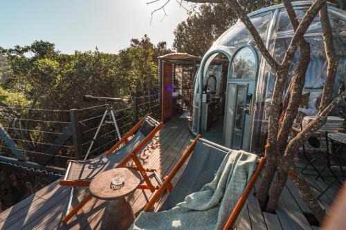 Storms River Otro | The Ocean Dome - Misty Mountain Reserve