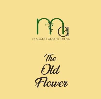 Gheorgheni Apartamento | The Old Flower
