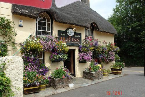 Mullion Cama Y Desayuno | The Old Inn