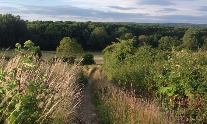 Petworth Cama Y Desayuno | Adjacent to the South Downs