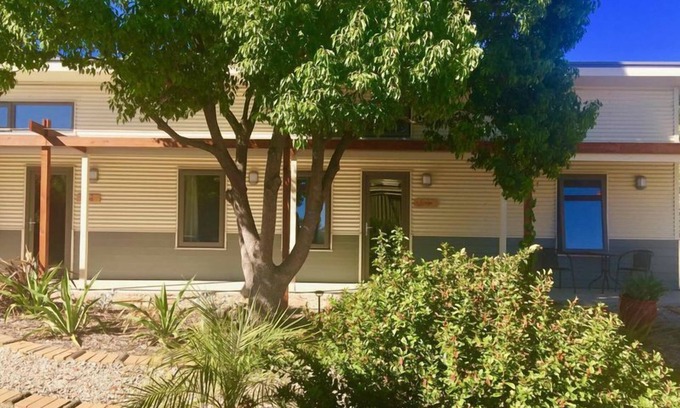 Willunga Casa | La aceituna en Willunga